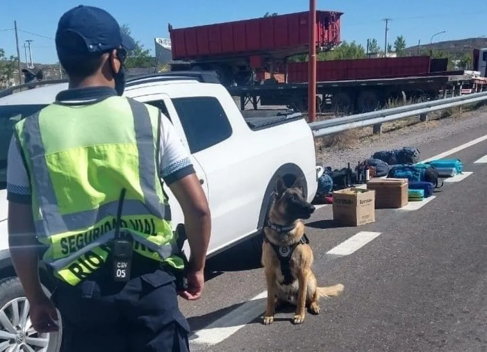 Viajaban por Ruta 22 con drogas y fueron descubiertos por un perro de la policía