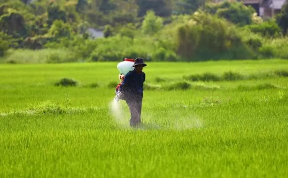 Beneficio al campo: eliminan aranceles para importación de fertilizantes