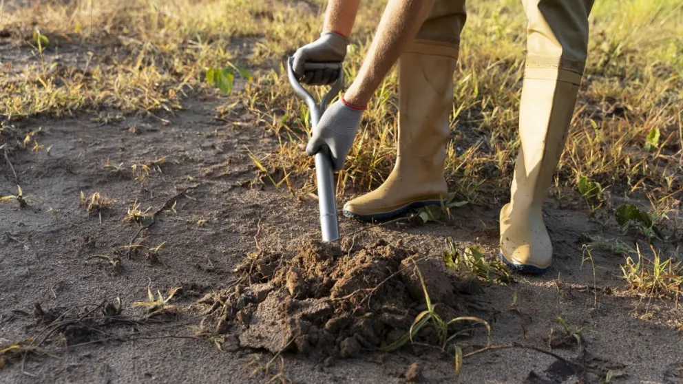 Plantarán árboles en Roca en honor a los Caídos en la Guerra de Malvinas.