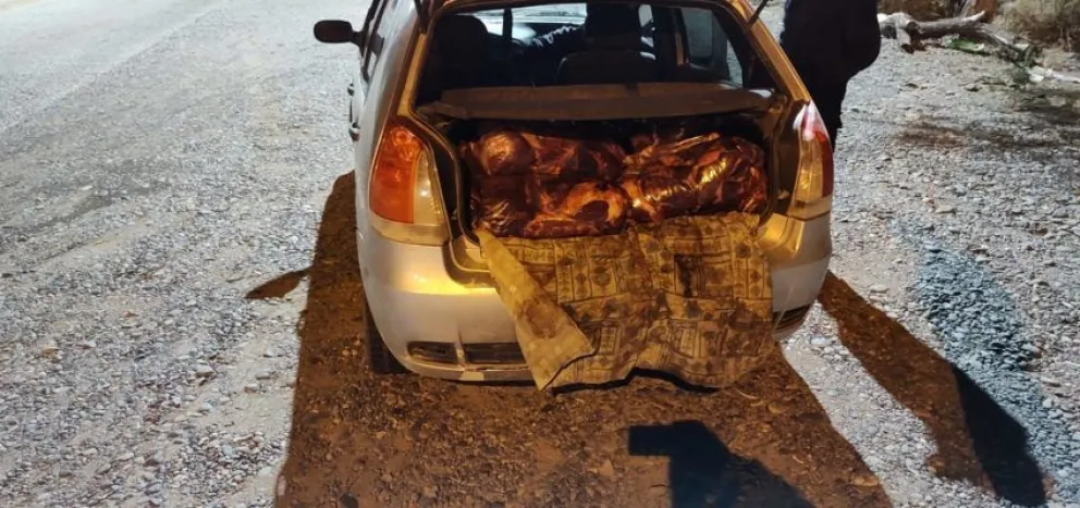 Decomisan 150 kilos de carne de caballo en la región
