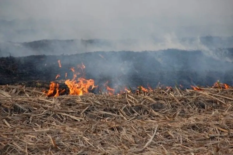 Denunciaron a una empresa petrolera de la región por quema irresponsable en una chacra 