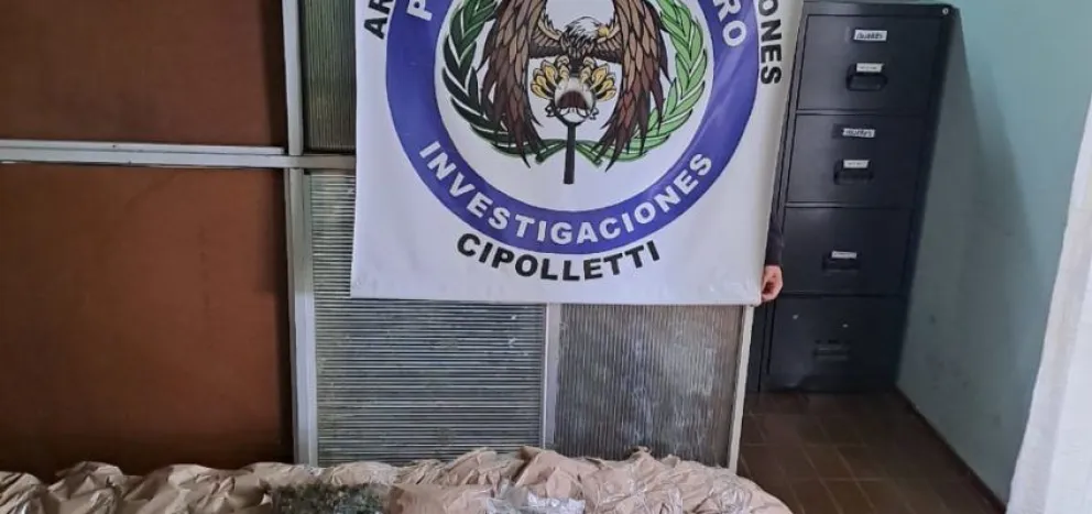 La policía secuestro 10 plantas de marihuana en el Alto Valle