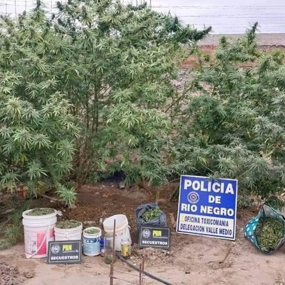 Gran golpe al narcotráfico: Cuatro personas detenidas en dos allanamientos 