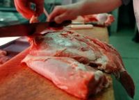 Consumo de carne vacuna se desploma y alcanza mínimos históricos