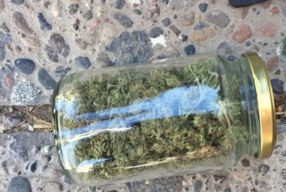 Fin del emprendimiento: Detenidos por llevar frascos de marihuana 