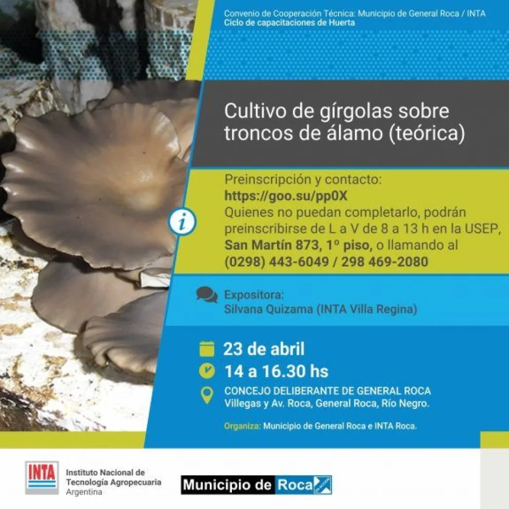 Abierta la inscripción al módulo de cultivo de gírgolas sobre troncos de álamo