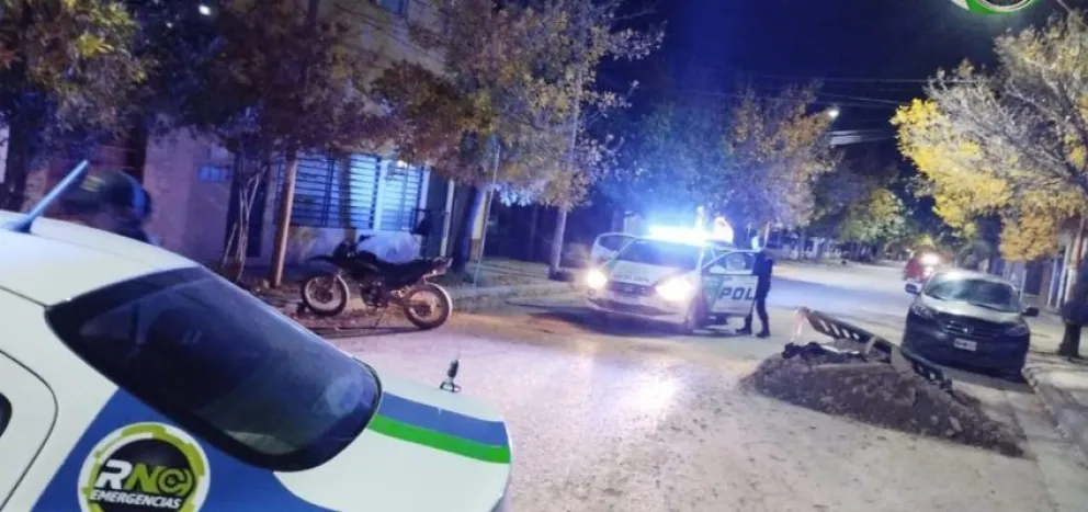 Golpeó y agredió a la policía tras ser detenido por robo en el Alto Valle