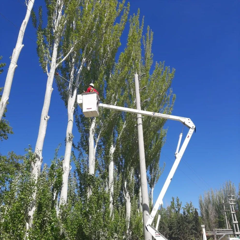 Nuevo corte programado: ¿Cuándo será y qué sectores se verán afectados?
