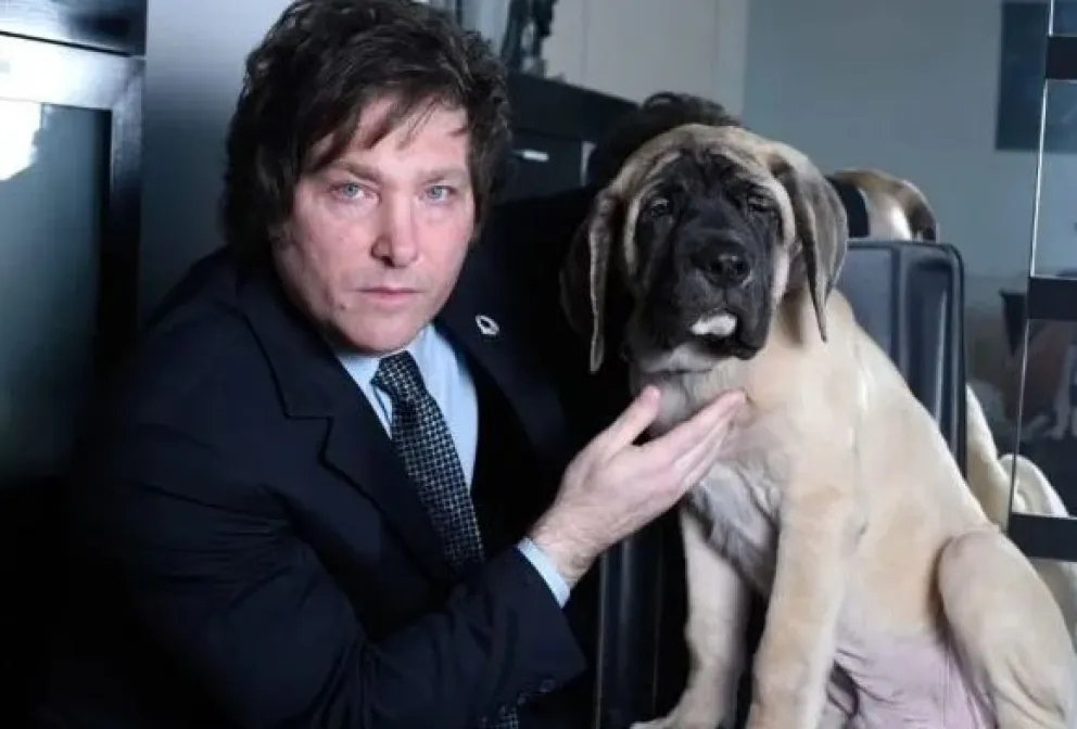 Se terminó el misterio: un estudio confirmó que Conan, el perro de Milei, está muerto