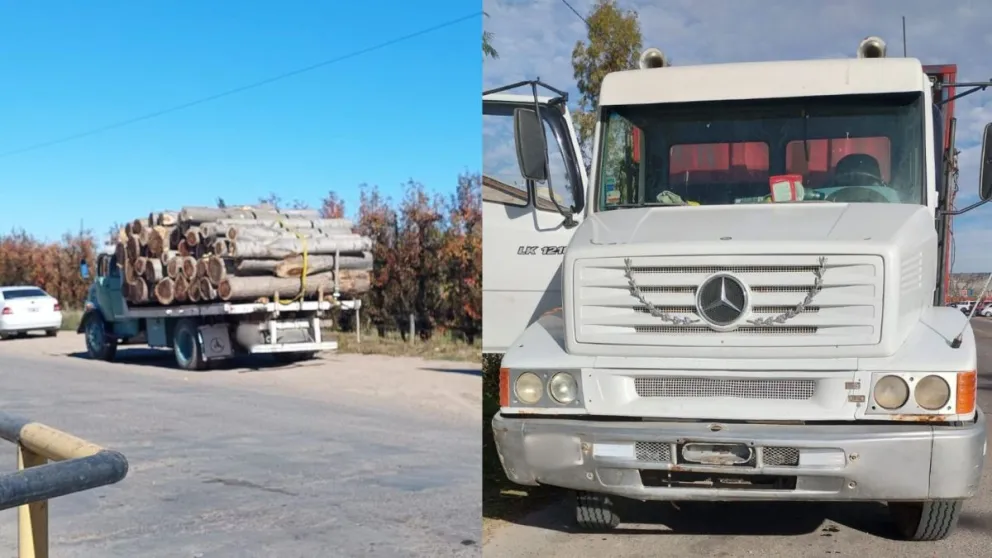 Decomisaron un camión con siete toneladas de álamo sin documentación