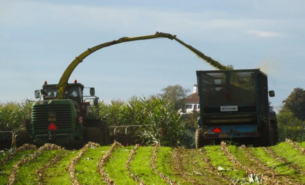 El Gobierno anunció que eliminará más aranceles en las importaciones