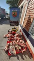  Secuestran más de 60 kilos de carne faenada que eran transportados en un camión