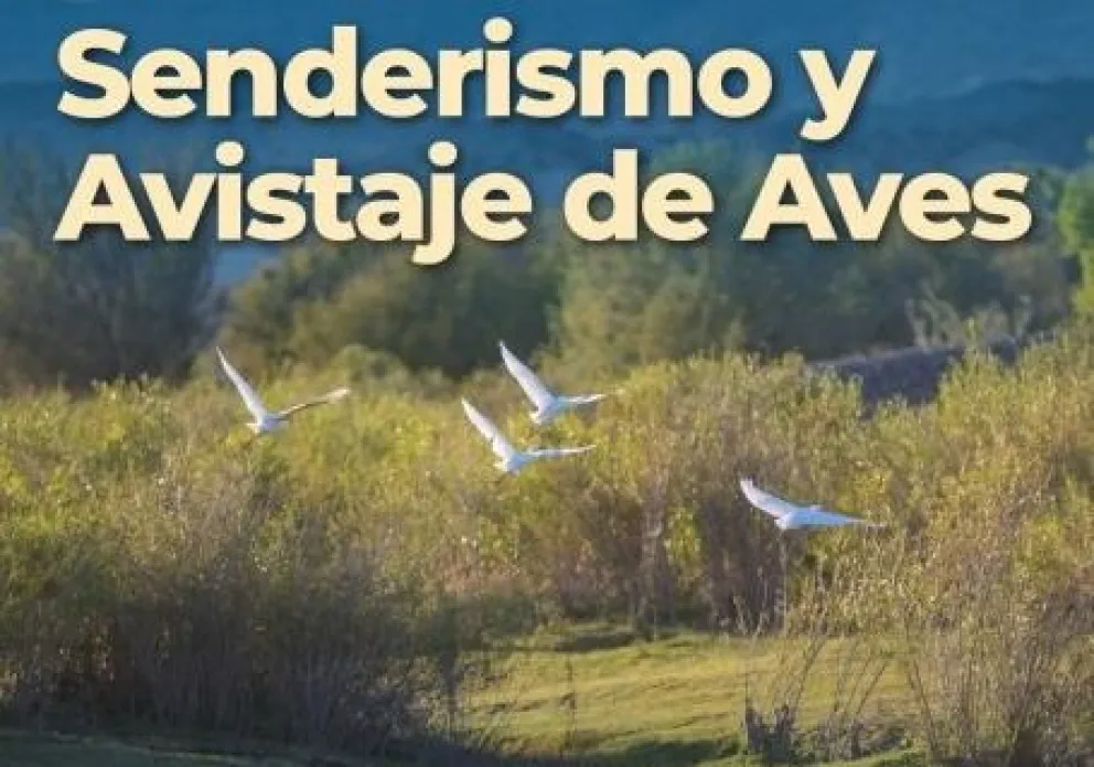 Una experiencia inolvidable: excursión de observación de aves en ANP Paso Córdoba