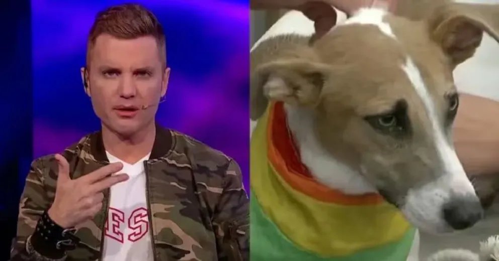 Polémica en Gran Hermano: Santiago del Moro se defendió de las críticas por el perro Arturo