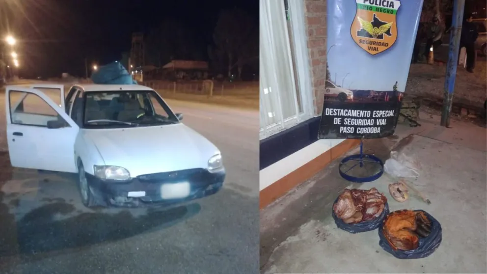 Lo detuvieron con 12 kilos de carne equina, una pata de guanaco y un piche faenado