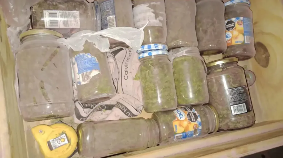 Cipolletti: marihuana, un arma y un detenido tras un allanamiento 