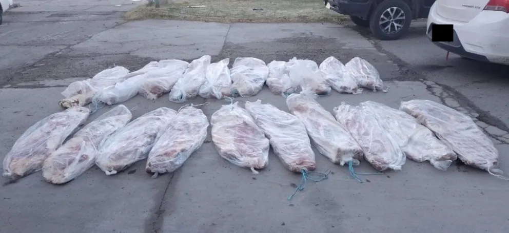 Decomisaron 20 costillares que eran trasladados de manera ilegal a Roca