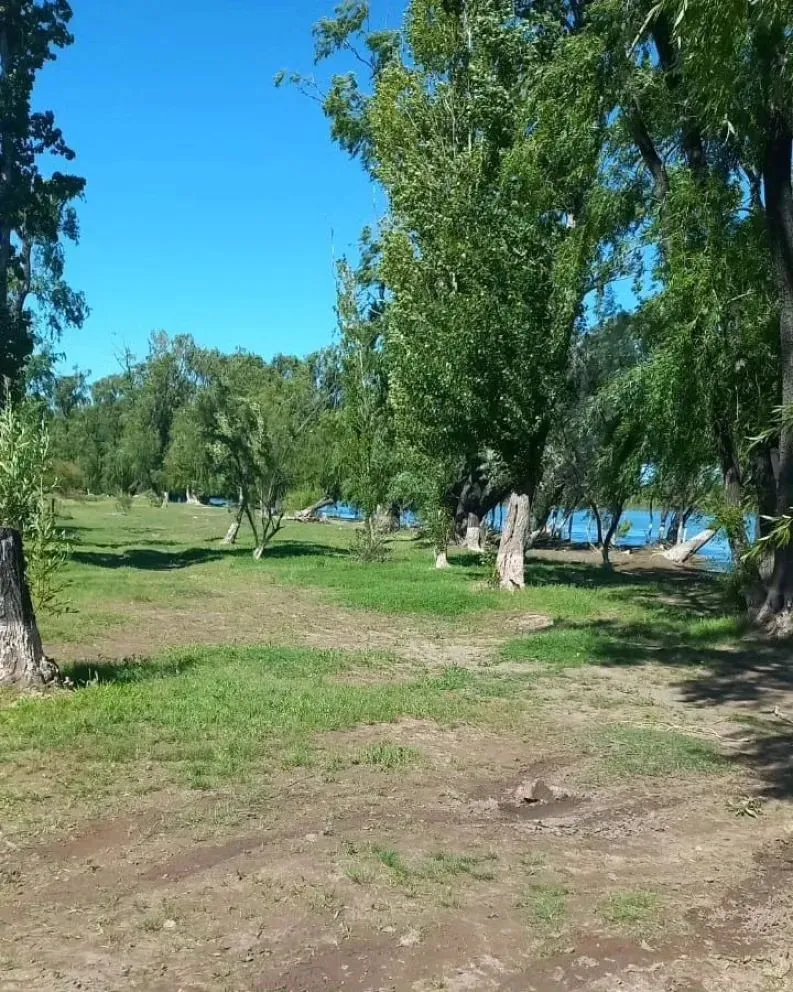 Estafa millonaria con venta ilegal de lotes en el Alto Valle