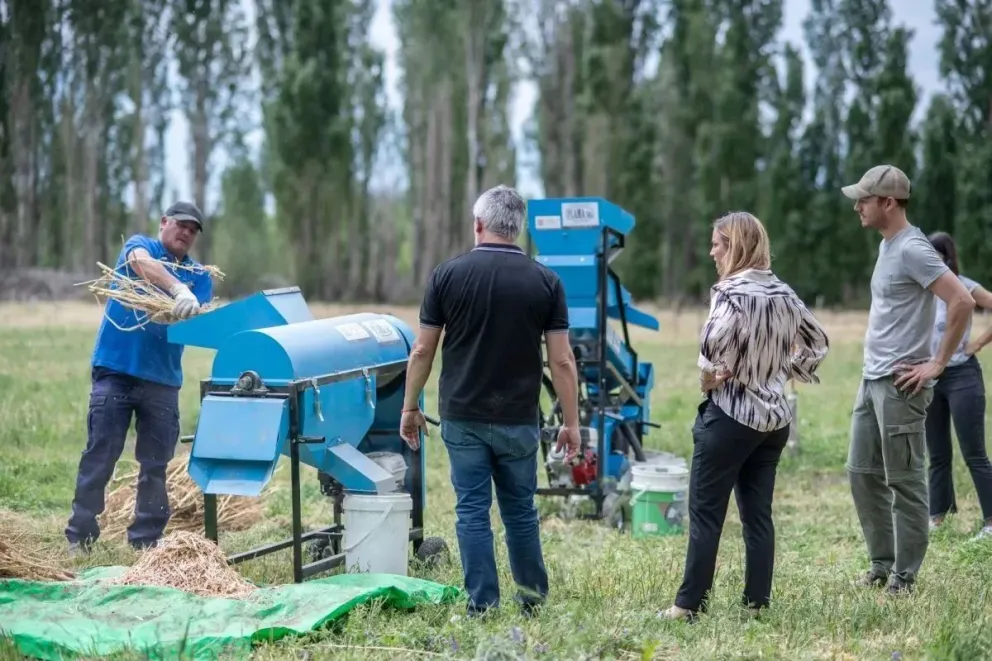 !Atención productores!: Realizarán un encuentro en Roca con charlas técnicas y demostración de maquinarias