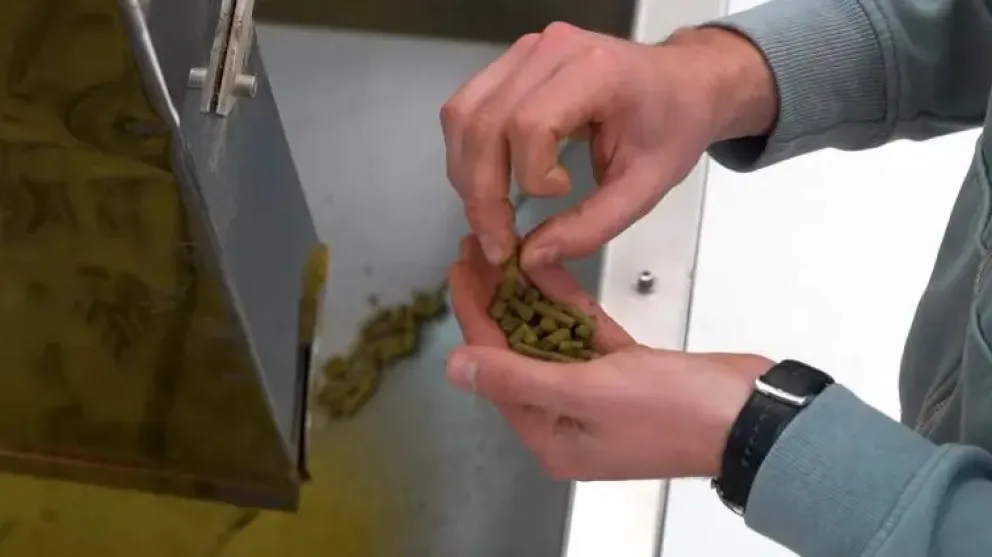 Río Negro creo la Agencia de Desarrollo Económico que impulsa el crecimiento sustentable