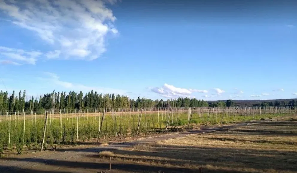 Estafas con loteos: cómo es la maniobra para atraer a potenciales víctimas