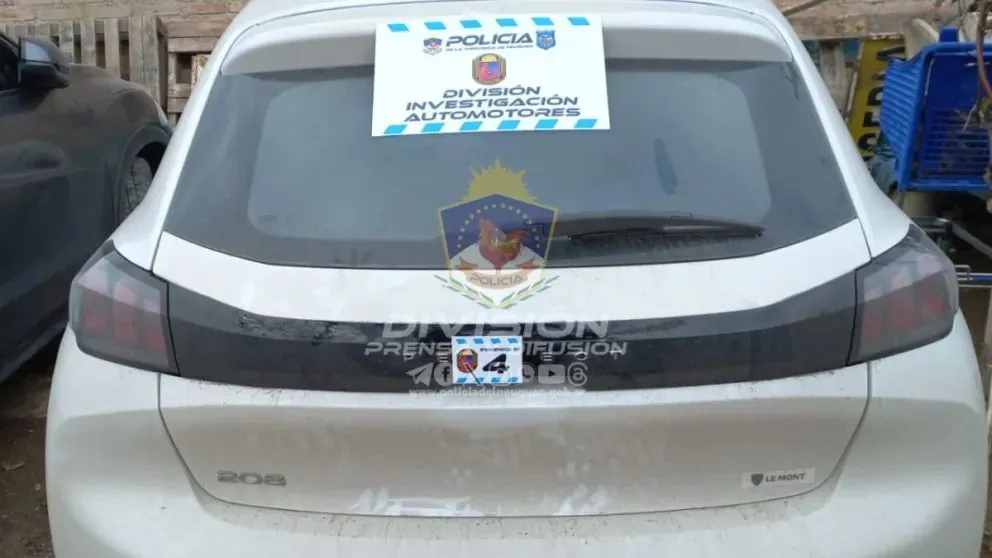 Recuperaron automóviles de alta gama que habían sido sustraídos en el Alto Valle