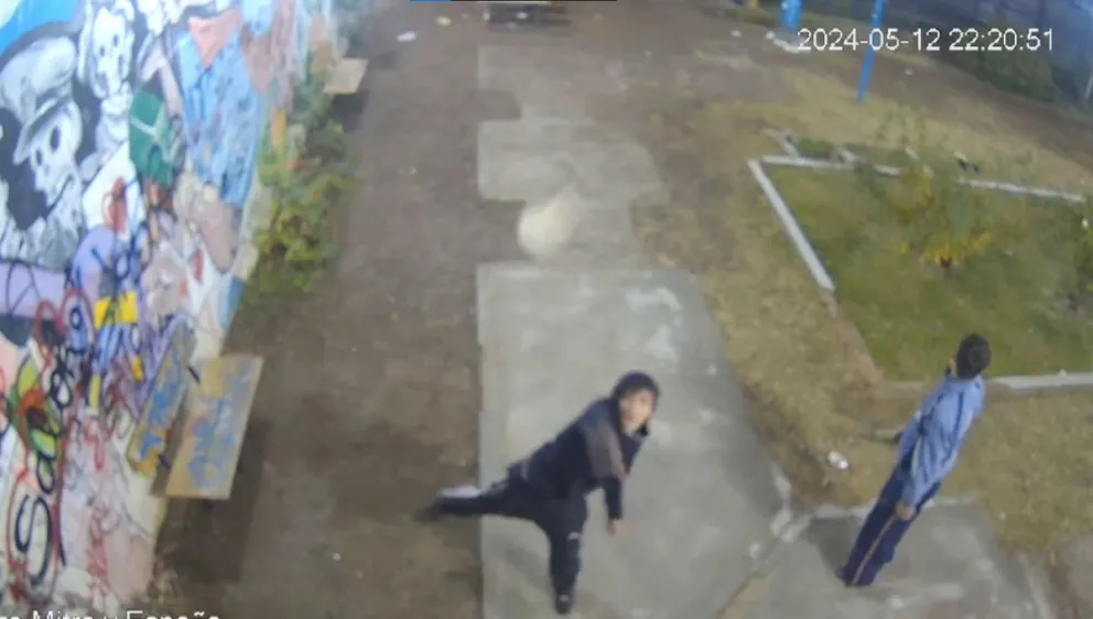 VIDEO: Rompieron una cámara a piedrazos y el Municipio difundió las imágenes a pesar de ser menores