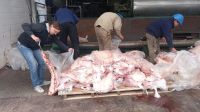 Región: decomisaron 4.580 kilos de carne escondidos en una cisterna