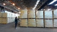 Gendarmería Nacional confirmó 2,7 toneladas de alimentos sin distribuir