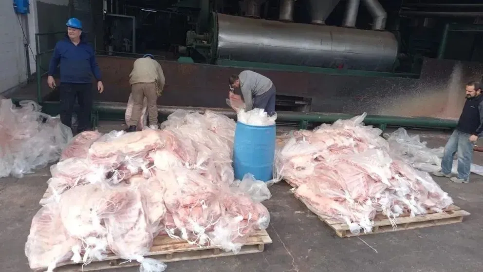 Venían a la región con más de una tonelada de chinchulines y se los decomisaron