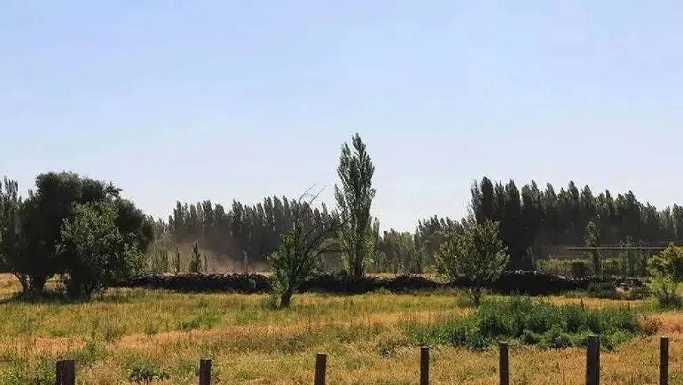 Para frenar loteos en la zona productiva, llevarán a juicio a los compradores