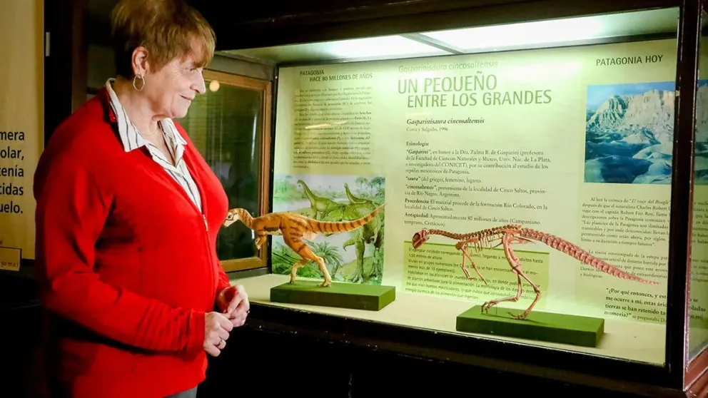 La UNRN entregará el doctorado Honoris Causa a una paleontóloga argentina reconocida a nivel mundial