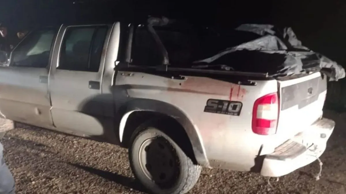 Cinco hombres ir&aacute;n a prisi&oacute;n por matar a dos yeguas: una de ellas estaba embarazada