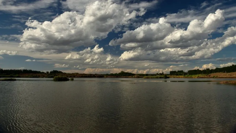 Cervantes: empresa creó un humedal como parte del plan de remediación