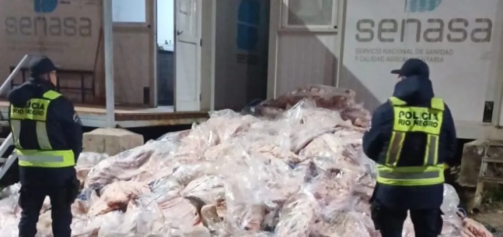 Secuestran cerca de siete toneladas y media de carne que tenían como destino el Alto Valle