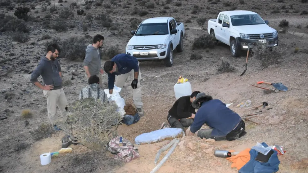 Descubrieron en Río Negro el fósil de un lagarto de 70 millones de años