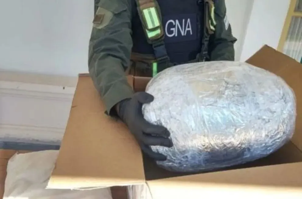 Fueron a retirar la encomienda y terminaron presos: El paquete tenía 16 kilos de marihuana  