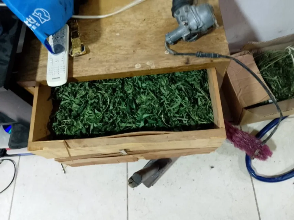 Lo buscaban por hurto y le hallaron cerca de 500 gramos de Marihuana