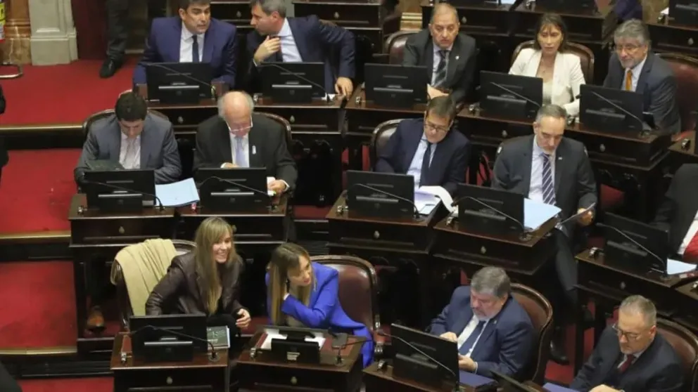 Ley Bases: el Senado aprueba delegaciones, privatizaciones y reformas laborales  