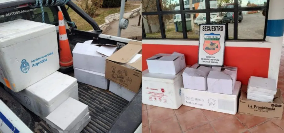 Decomisan cerca de 120 kilos de mariscos que eran transportados hacia el Alto Valle