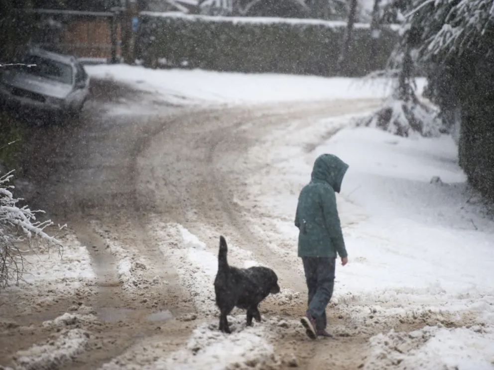 Alerta metereológica por frío extremo: las provincias afectadas