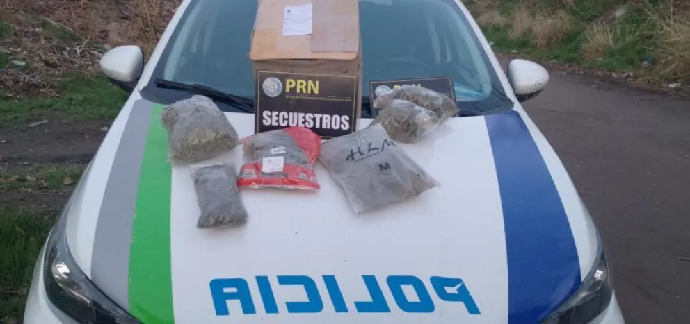 Allanamiento con resultado positivo: secuestran una gran cantidad de marihuana en el Alto Valle