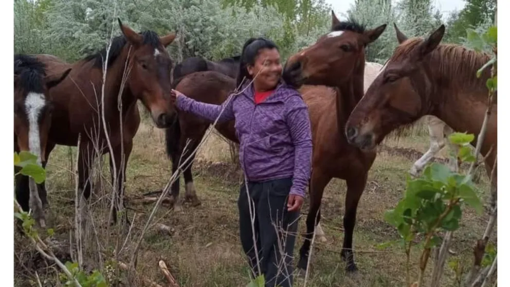 Robo de caballos en la región: “No saben el daño que causaron a mi hija”