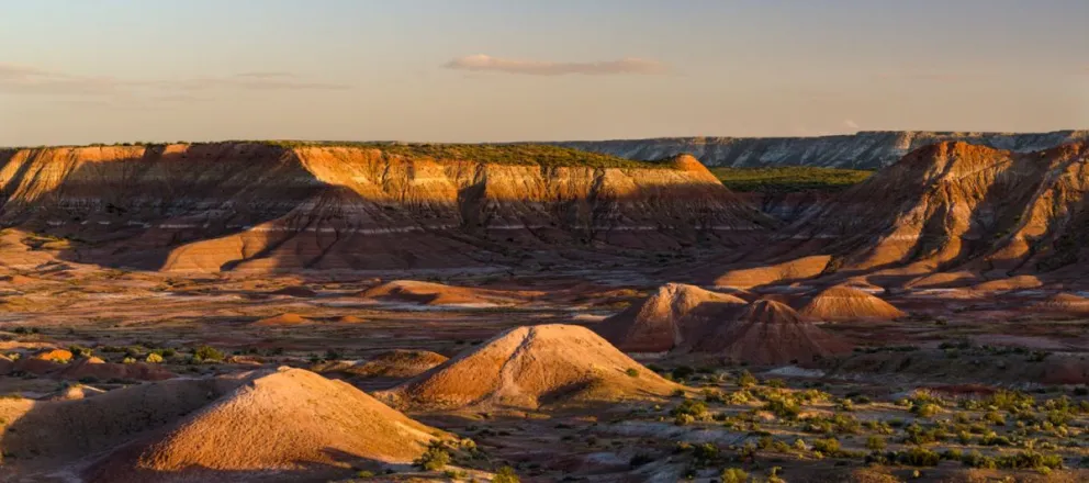 Llegan las vacas de invierno: conocé cómo participar de las colonias y las actividades gratuitas en Roca