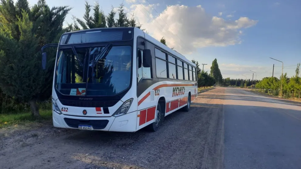 Desde este lunes se suman nuevas frecuencias de colectivos en el Alto Valle