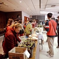 Celebrando la naturaleza: nueva edición de Feria Cultivar en Roca