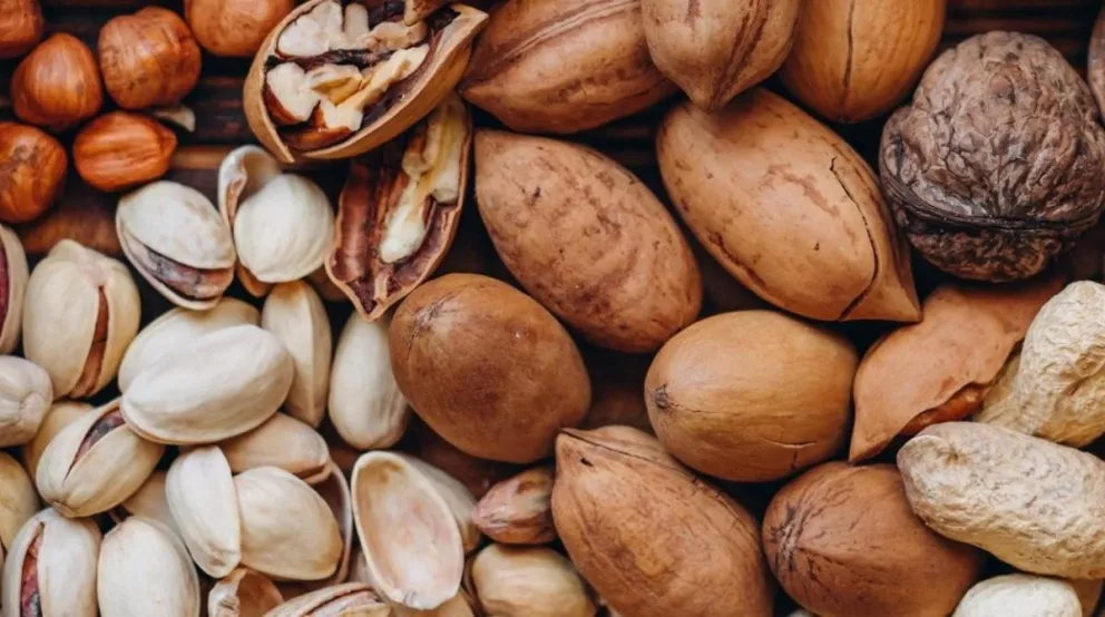Descubre cuál es el fruto seco que mejora tu memoria