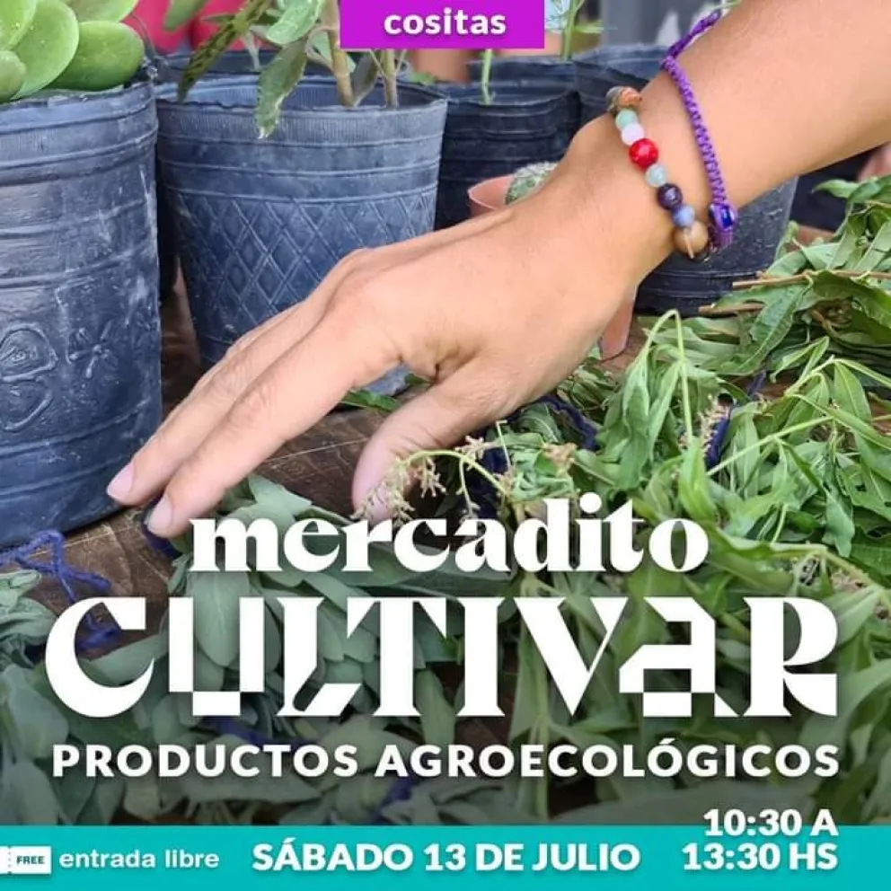 Se viene la segunda parte de "El Camino de la Miel" de la mano de Feria Cultivar
