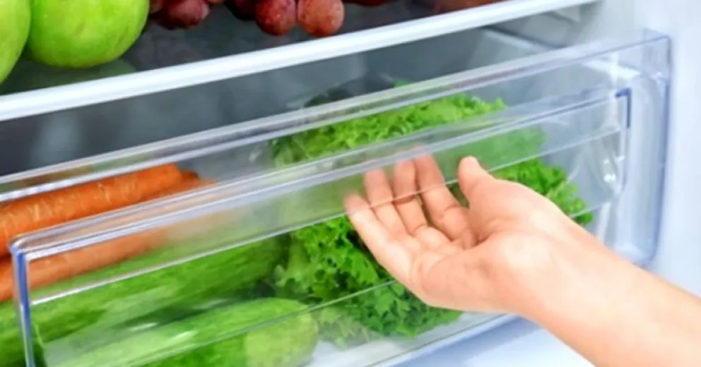 Truco eficaz para conservar verduras frescas