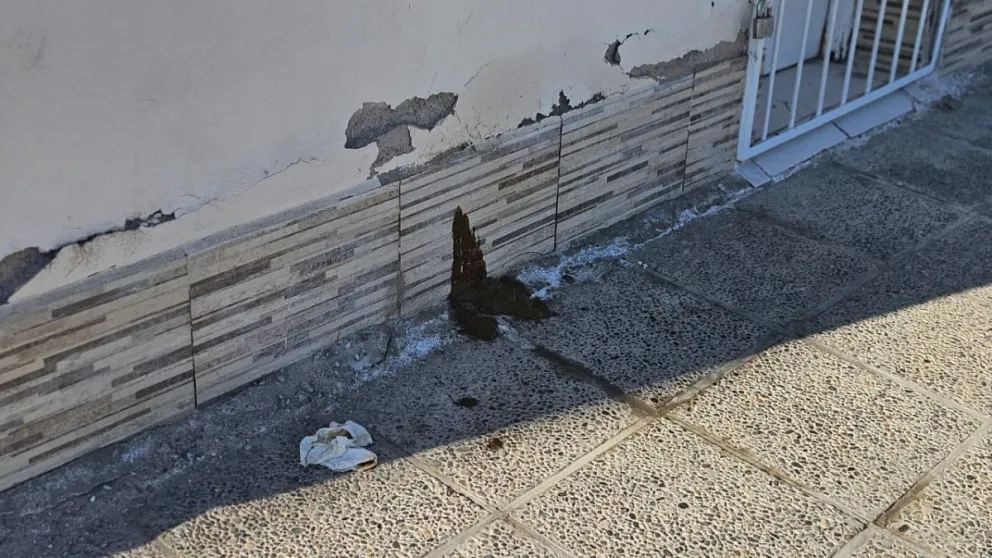 DESAGRADABLE: No se aguantó y dejó todo el excremento en la vereda 